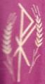  Pure White Humeral Veil w/#864 Embroidery (Chi Rho, Wheat) 