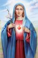  Immaculate Heart of Mary Bulletin 