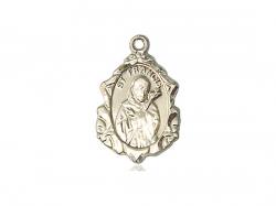  St. Francis of Assisi Neck Medal/Pendant Only 