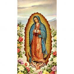  \"Our Lady of Guadalupe\" Prayer/Holy Card (Paper/100) 