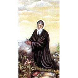  \"St. Charbel\" Prayer/Holy Card (Paper/100) 