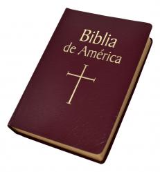  BIBLIA DE AMERICA 