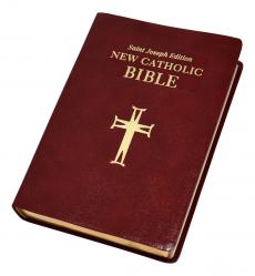  St. Joseph New Catholic Bible (Gift Edition - Large Type) 