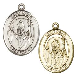  St. David of Wales Neck Medal/Pendant Only 