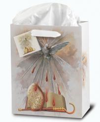  MEDIUM HOLY SPIRIT - CONFIRMATION GIFT BAG (10 PC) 