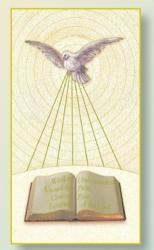  HOLY SPIRIT (CONFIRMATION) CARD (100 PC) 