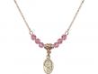  Scapular Medal Birthstone Necklace Available in 15 Colors 